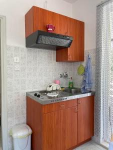 赫瓦爾的住宿－Apartments Gordana Buzolic，厨房配有水槽和炉灶