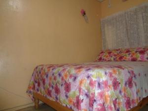 キングストンにあるヤード スタイルのギャラリーの写真