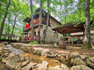 a stone house in the woods with a stream in front at Etno Selo Dodig in Drvar