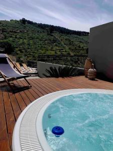 a pool with a frisbee in it on a deck at Cottage Douro Vallée 