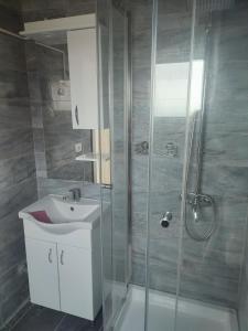 een badkamer met een douche, een wastafel en een douche bij Sunset Villa Montenegro in Radovanići