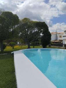 a blue swimming pool with a tree in the background at Ideal Property Mallorca - Es Romani Alcudia in Alcudia