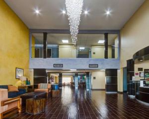 Gallery image of Comfort Suites Lake Ray Hubbard in Rowlett