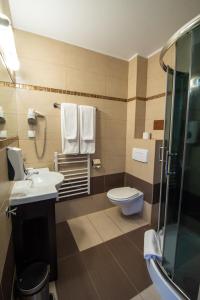 ein Bad mit einem WC, einem Waschbecken und einer Dusche in der Unterkunft Hotel Pod Szrenicą in Szklarska Poręba