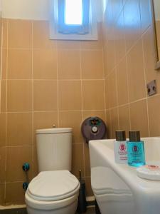 a bathroom with a toilet and a sink and a window at Heybeliada Pansiyon in Istanbul