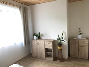 a room with wooden cabinets and potted plants in it at Apartmán Karhule (pod Blaníkem) 