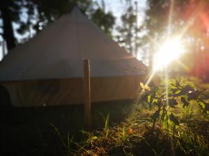 a tent with the sun in the background at Jonvabalių miškas 