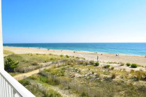 Φυσικό τοπίο κοντά σε αυτό το διαμέρισμα