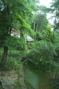 a house in the middle of a forest of trees at Leśny kasztel pod sosnami. Pokój w koronach drzew. in Milanówek