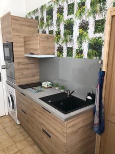 a kitchen with a sink and a window with plants at Studio au cœur d'Avignon intra-muros in Avignon
