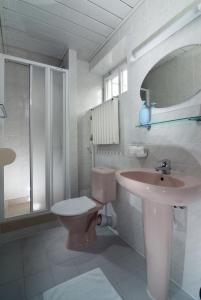 a bathroom with a toilet and a sink and a shower at Depandance Villa Hubertus in Špindlerův Mlýn