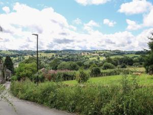 a view of a field with a street light at Midway Cottage in Matlock