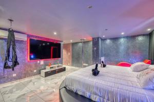 a bedroom with a large bed and a tv at Love Room Attitude in Grenoble