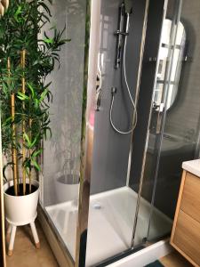a shower with a glass door and plants in a bathroom at Studio au cœur d'Avignon intra-muros in Avignon +18 photos