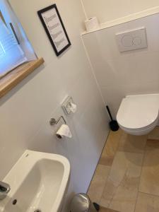 łazienka z białą umywalką i toaletą w obiekcie Camping f Selbstversorger Gut Jägerhof w mieście Semriach