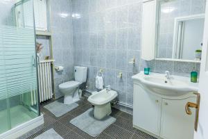 a bathroom with a toilet and a sink and a shower at Ultracentral Golden Gatehouse 3 Bdrm in Bucharest