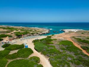 an aerial view of a beach and the ocean at Calanca Apulian Residence in Torre Santa Sabina