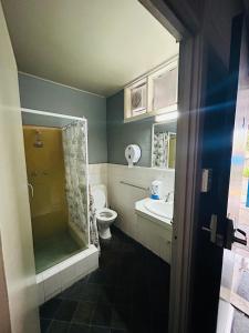 a bathroom with a shower and a toilet and a sink at Sunraysia Stays in Mildura