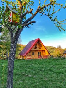 Paesaggio naturale nelle vicinanze della casa vacanze