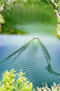 Paesaggio naturale nelle vicinanze della casa vacanze