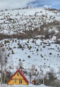Nika durante l'inverno