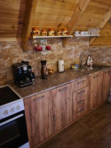 Cucina o angolo cottura di Nika