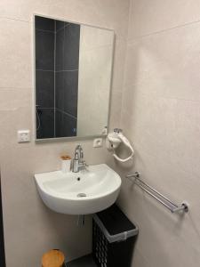 Gallery image of Gasthuis Sanitatem in Putten