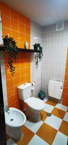 łazienka z toaletą i umywalką w obiekcie APARTAMENTO ALES II w mieście Arenas de San Pedro