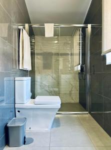 a bathroom with a toilet and a glass shower at Guest house D. Filipe I in Porto