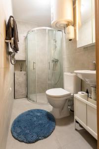 a bathroom with a shower and a toilet and a blue rug at Mindaugo apartamentai su šildomu baseinu, sporto sale, vaikų kambariu, work zona in Palanga