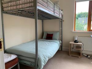 a bedroom with a bunk bed with a ladder at Lough Rynn-Lord Leitrim in Rivers Town