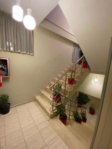 Fotografie z fotogalerie ubytování Edisem Hotel v destinaci Tirana