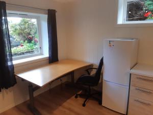克里斯蒂安桑的住宿－Krypinn i Søgne，厨房配有书桌、冰箱和窗户。