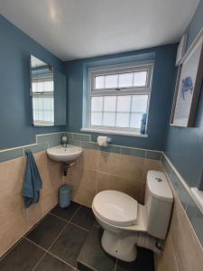 a bathroom with a toilet and a sink at Caudle Cottage, Ruardean in Lydbrook