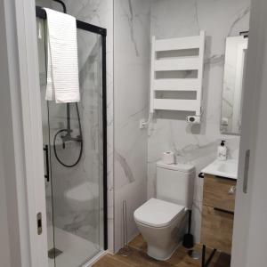 y baño con ducha, aseo y lavamanos. en Garcia Noblejas Apartments, en Madrid