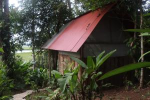 un antiguo cobertizo con techo rojo en el bosque en Konsenda Bocas del Toro, en Bocas Town