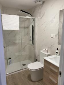 een badkamer met een douche, een toilet en een wastafel bij San Sebastián Apartments in San Sebastián de los Reyes