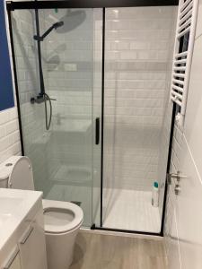 a bathroom with a glass shower with a toilet at Matadero Apartments 3 in Madrid