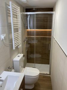 W łazience znajduje się toaleta i przeszklony prysznic. w obiekcie Nuevo piso Retiro 2 w Madrycie