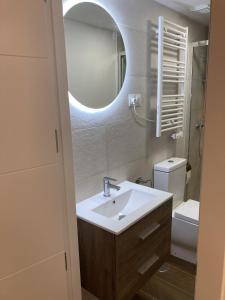 La salle de bains est pourvue d'un lavabo, d'un miroir et de toilettes. dans l'établissement Nuevo piso Retiro 2, à Madrid