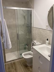 a bathroom with a shower and a toilet and a sink at Plaza Castilla Apartments in Madrid