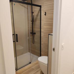 uma cabina de duche em vidro numa casa de banho com WC em AV. Asturias Apartamento em Madri