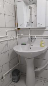 uma casa de banho com um lavatório branco e um espelho. em Apartman Branka em Niška Banja