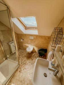 a bathroom with a shower and a sink and a toilet at Casa Andreea in Vatra Dornei