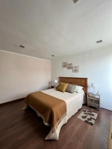 1 dormitorio con 1 cama grande en una habitación blanca en CASA FRENTE A PLAZA PRINCIPAL en Federación