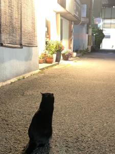 Domácí mazlíčci ubytovaní s hosty v ubytování Tsukiji Hostel Wakayama 1