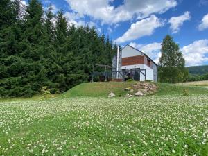 uma casa numa colina com um campo de flores em Stone House Skalny Domek w Strużnicy 