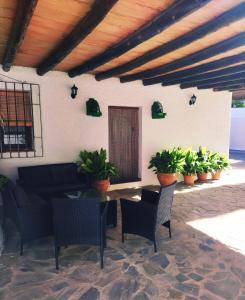 a patio with a couch and chairs and plants at CORTIJO LALO in Órgiva