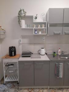una pequeña cocina con encimera y fregadero en Shadowlily, en Budapest