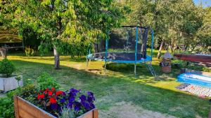 a park with a trampoline in the grass at Privat ALMA in Nová Lesná
